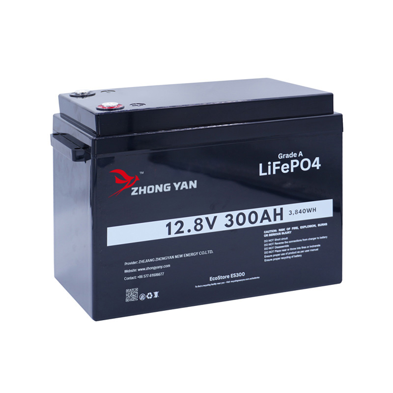 Zhejiang Zhongyan New Energy Co., Ltd.
